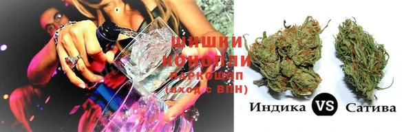 бошки Белокуриха