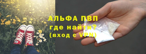 бошки Белокуриха