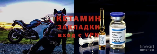 бошки Белокуриха