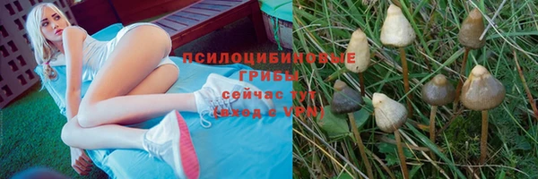 COCAINE Белоозёрский
